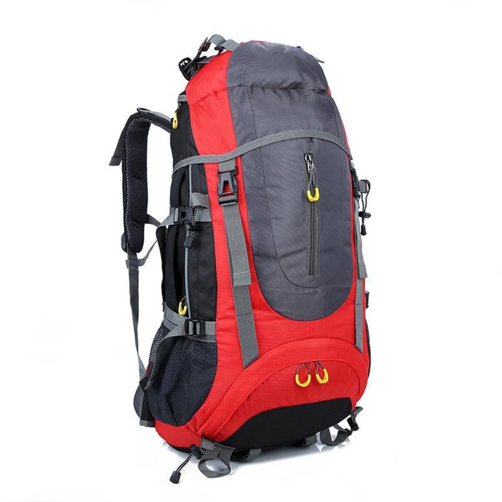 The Hiking Bag