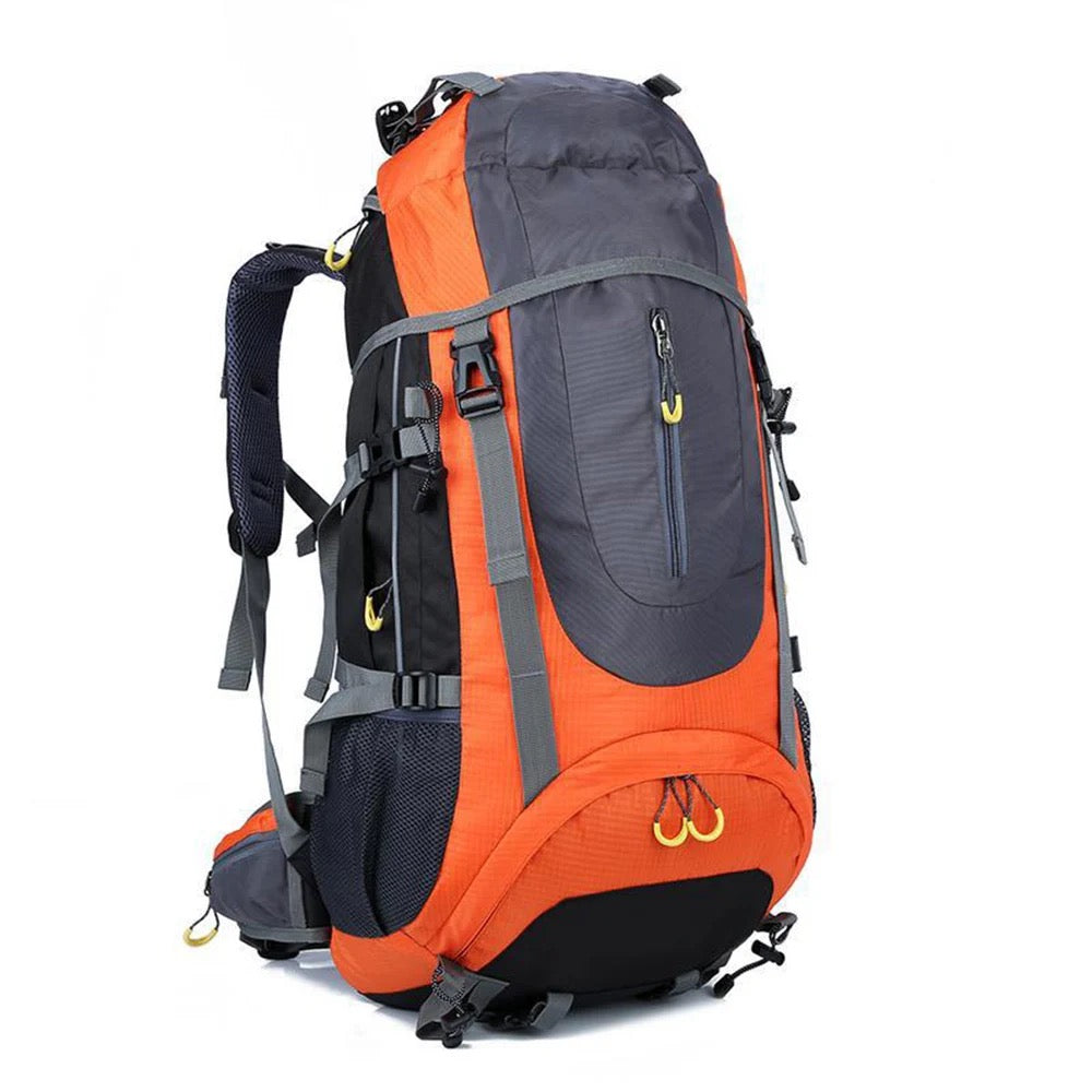 The Hiking Bag